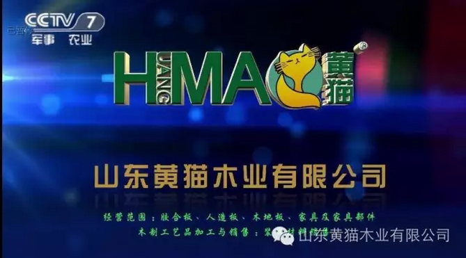 山東黃貓木業(yè)有限公司成功登陸CCTV-7??！