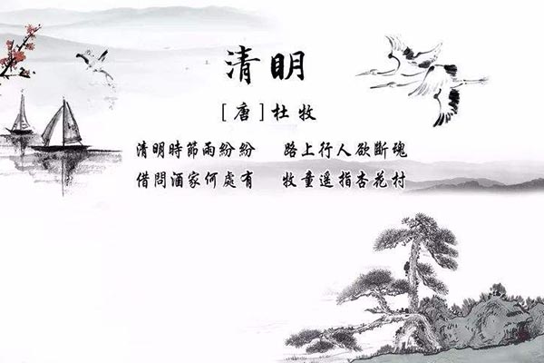 黃貓板材 |清明節(jié)讓思念傳承下去！