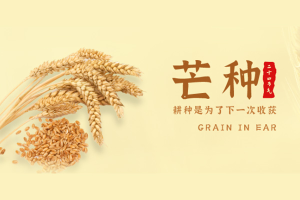 黃貓板材 | 芒種，播種希望，收獲美好