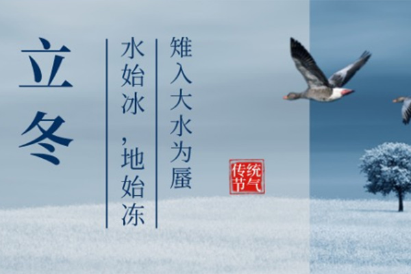 立冬到來百花凋，唯有臘梅雪中笑