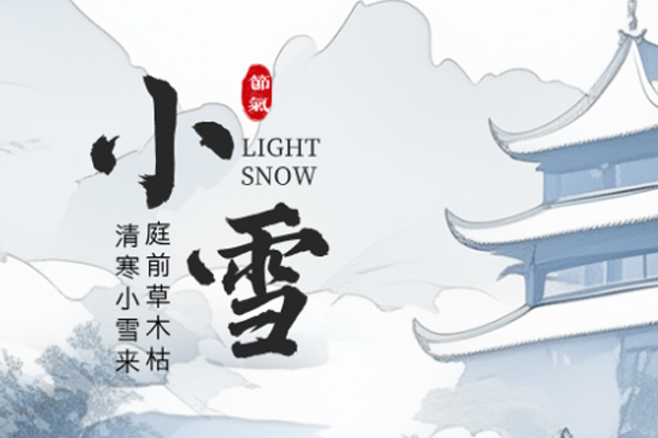 黃貓木業(yè) | 雨雪其霏 攜手同歸